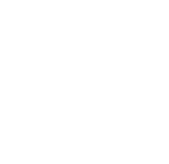 notary public pen